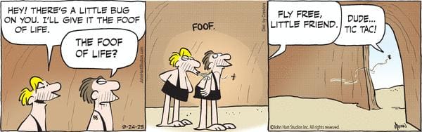 BC Archives Daily Comics